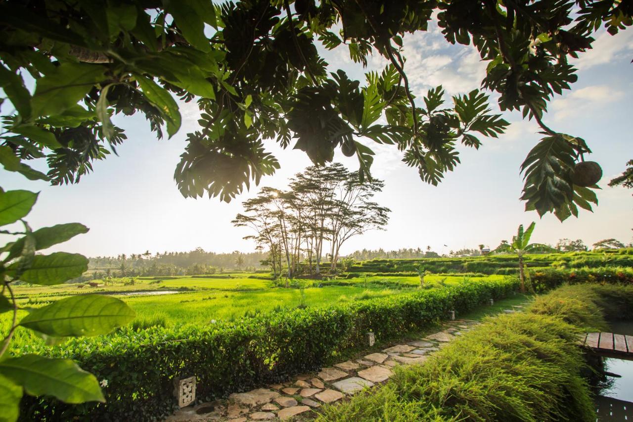 Griya Kcb Villa Ubud Mas  Экстерьер фото