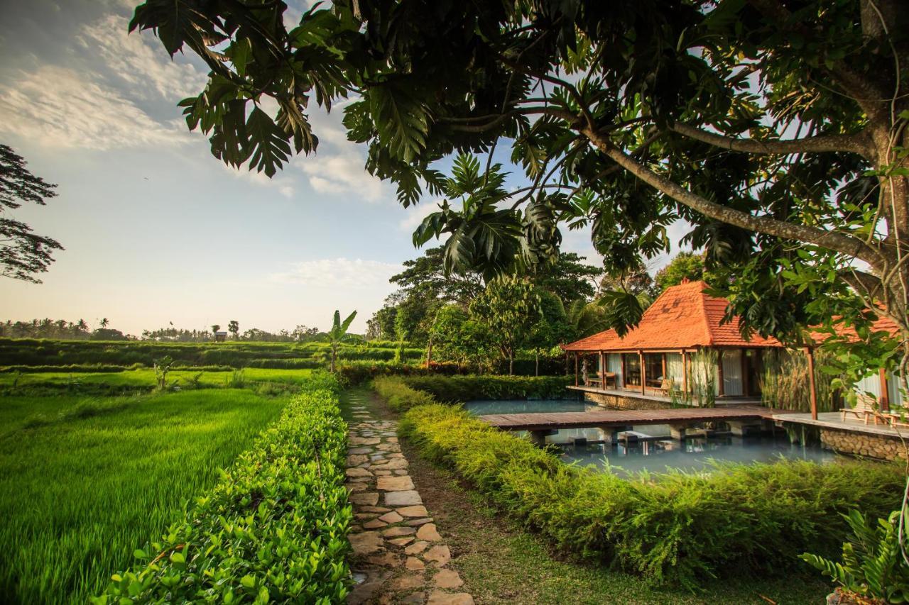 Griya Kcb Villa Ubud Mas  Экстерьер фото